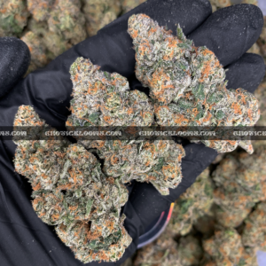 Permanent Marker cannabis strain – ultra high THC indica available for weed delivery in Virginia and DC.