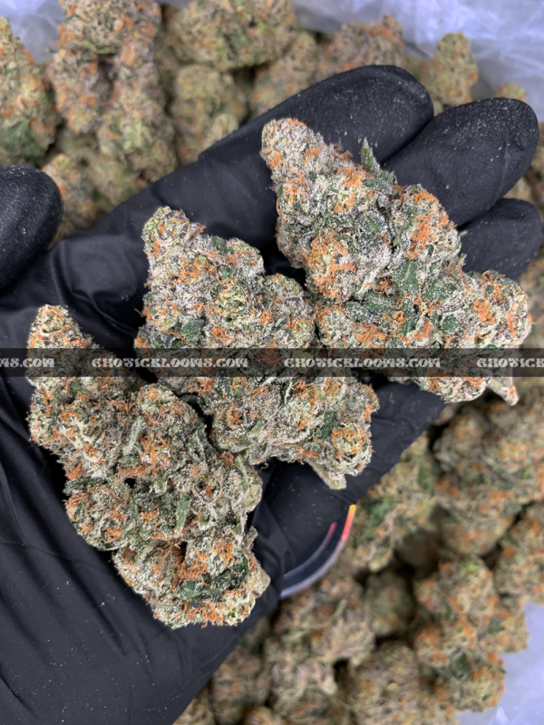 Permanent Marker cannabis strain – ultra high THC indica available for weed delivery in Virginia and DC.
