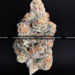 Permanent Marker cannabis strain – ultra high THC indica available for weed delivery in Virginia and DC.