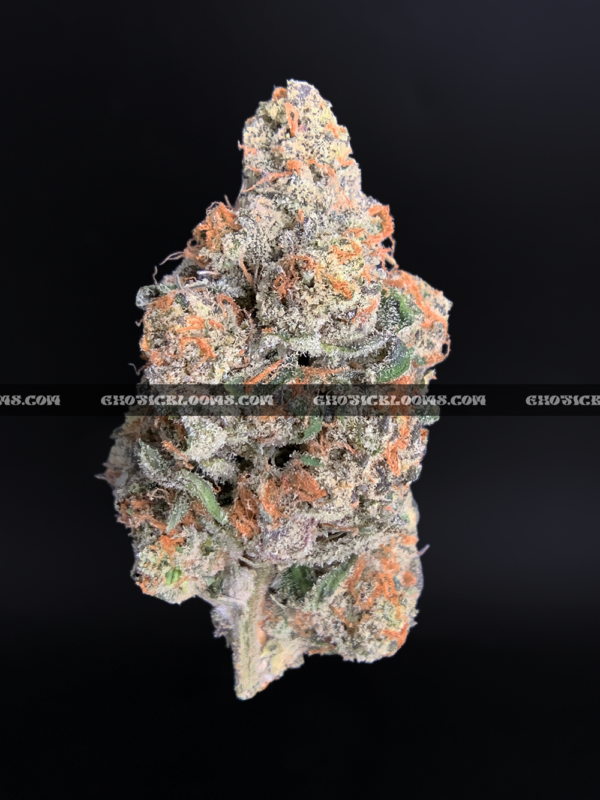 Permanent Marker cannabis strain – ultra high THC indica available for weed delivery in Virginia and DC.