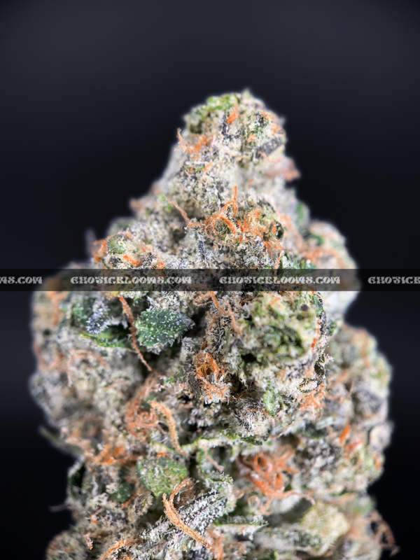 Permanent Marker cannabis strain – ultra high THC indica available for weed delivery in Virginia and DC.