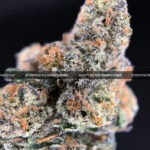 Permanent Marker cannabis strain – ultra high THC indica available for weed delivery in Virginia and DC.