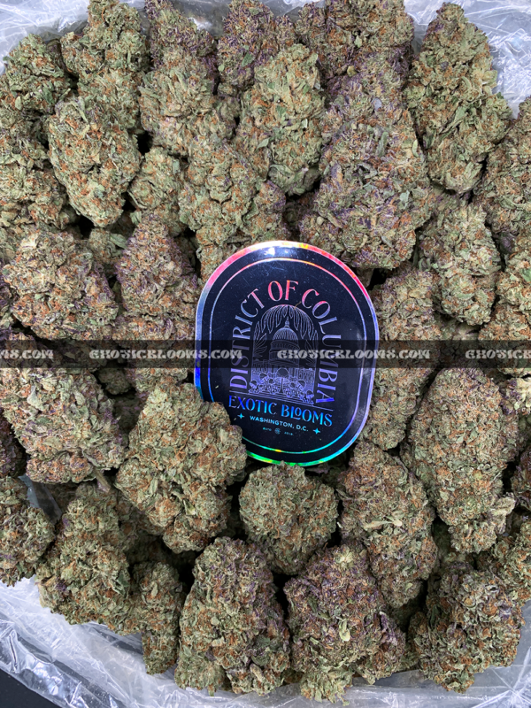 High-THC Russian Skywalker buds from Exotic Blooms – best weed delivery service in Virginia and DC.