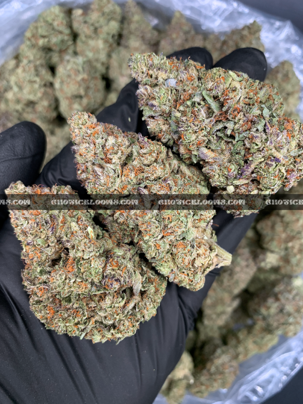 High-THC Russian Skywalker buds from Exotic Blooms – best weed delivery service in Virginia and DC.