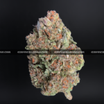 High-THC Russian Skywalker buds from Exotic Blooms – best weed delivery service in Virginia and DC.