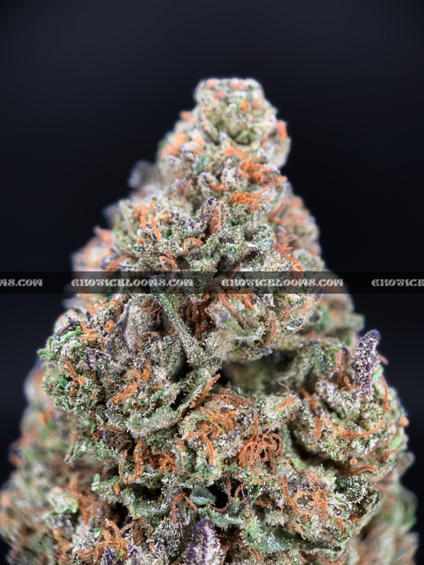 High-THC Russian Skywalker buds from Exotic Blooms – best weed delivery service in Virginia and DC.