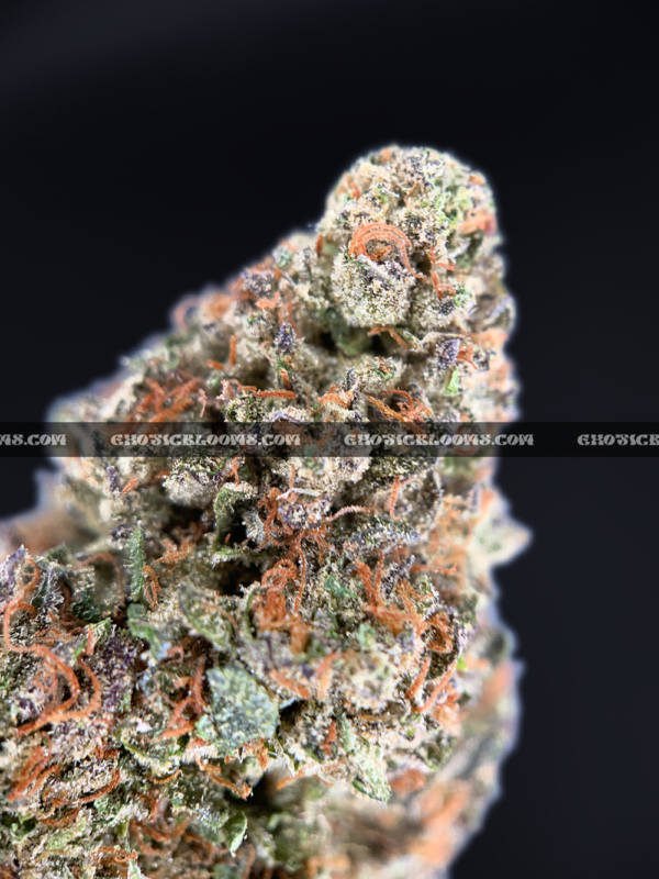 High-THC Russian Skywalker buds from Exotic Blooms – best weed delivery service in Virginia and DC.