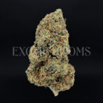 Jack Off Herer Washington DC Virginia