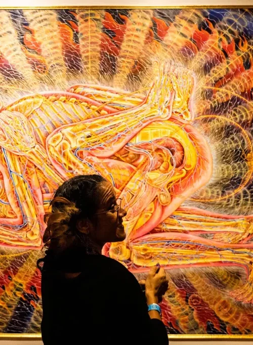 Two people viewing a psychedelic artwork by Alex Grey depicting entangled human forms with glowing energetic anatomy, often associated with DMT or spiritual visions