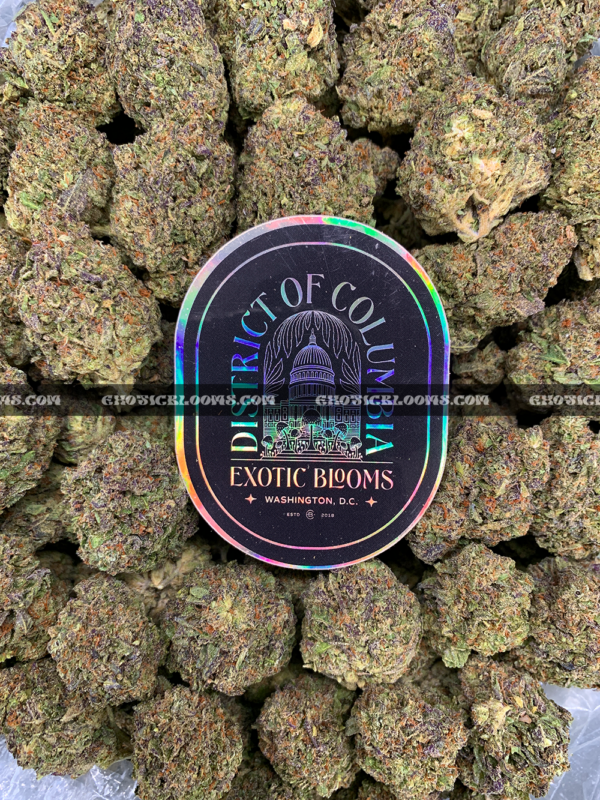 Astro Mints cannabis strain available for weed delivery in Washington DC and Virginia – 25–29% THC indica hybrid with creamy mint flavor and heavy body effects