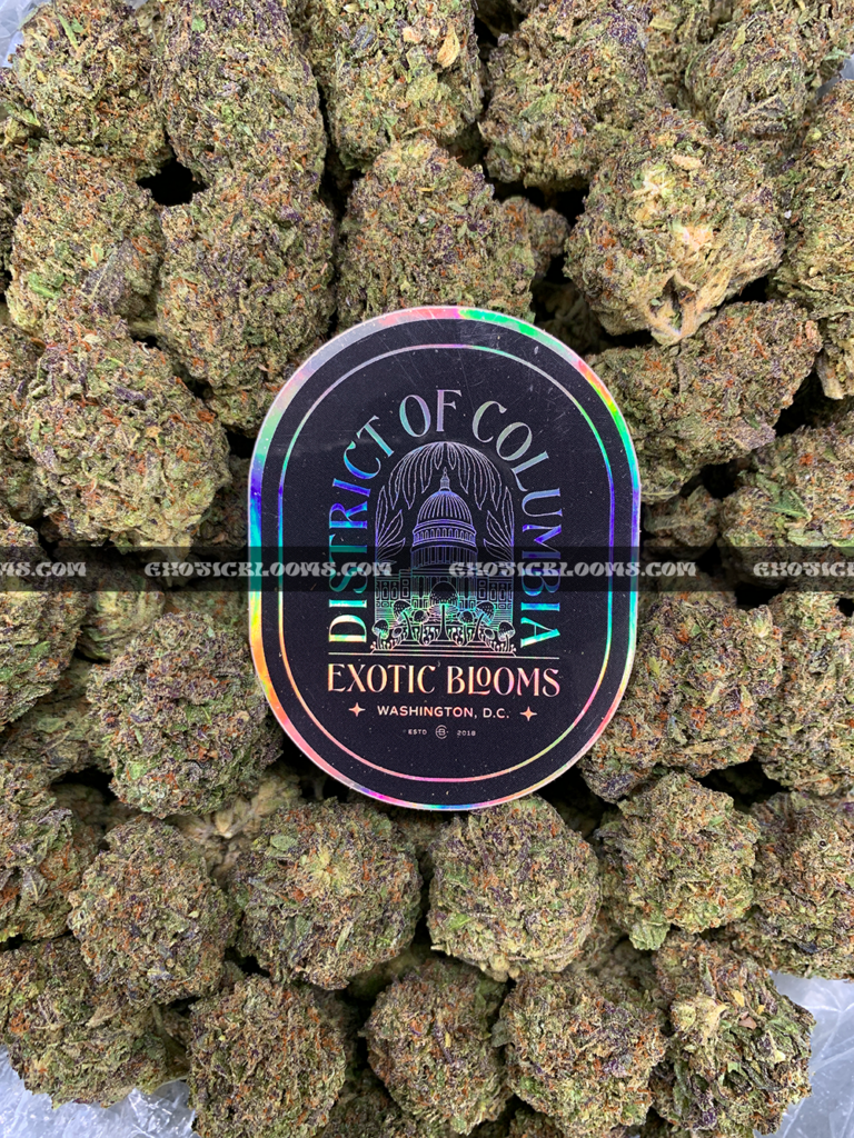 Astro Mints Strain – 25–29% THC Indica | DC & VA Weed Delivery