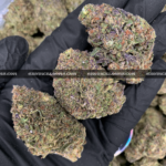 Astro Mints cannabis strain available for weed delivery in Washington DC and Virginia – 25–29% THC indica hybrid with creamy mint flavor and heavy body effects