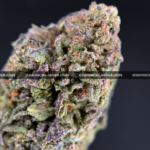 Astro Mints cannabis strain available for weed delivery in Washington DC and Virginia – 25–29% THC indica hybrid with creamy mint flavor and heavy body effects