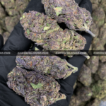 Blueberry Gas cannabis strain – sweet berry and diesel indica for VA and DC weed delivery.