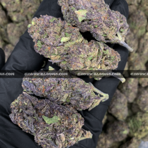 Blueberry Gas cannabis strain – sweet berry and diesel indica for VA and DC weed delivery.