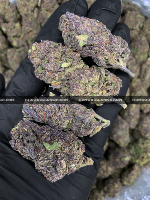 Blueberry Gas cannabis strain – sweet berry and diesel indica for VA and DC weed delivery.