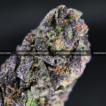 Blueberry Gas cannabis strain – sweet berry and diesel indica for VA and DC weed delivery.