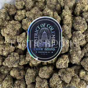 Candy Gas hybrid cannabis strain – available for weed delivery in DC, Virginia, and Richmond via Exotic Blooms