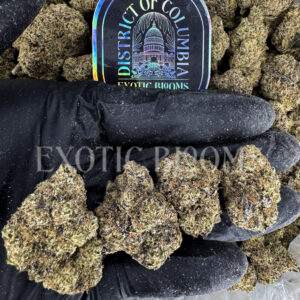 Candy Gas hybrid cannabis strain – available for weed delivery in DC, Virginia, and Richmond via Exotic Blooms