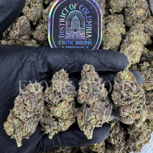 Creme De La Creme cannabis strain available for weed delivery in Washington DC and Virginia – 20–25% THC PURE indica