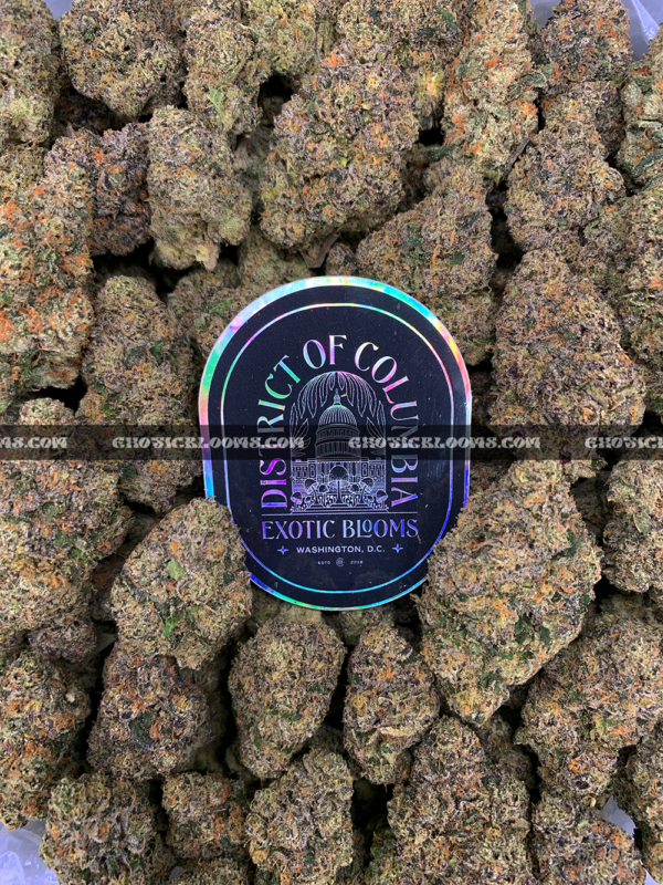 Durban Biscotti strain – tropical sweet sativa buds with crystal trichomes for DC and Virginia Sour Zkittlez strain – tropical citrus sativa buds with orange hairs and frosty trichomes for DC and Virginia cannabis delivery delivery