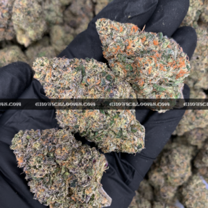 Durban Biscotti strain – tropical sweet sativa buds with crystal trichomes for DC and Virginia weed delivery