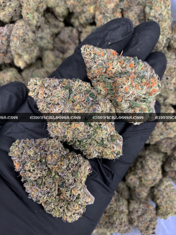 Durban Biscotti strain – tropical sweet sativa buds with crystal trichomes for DC and Virginia weed delivery