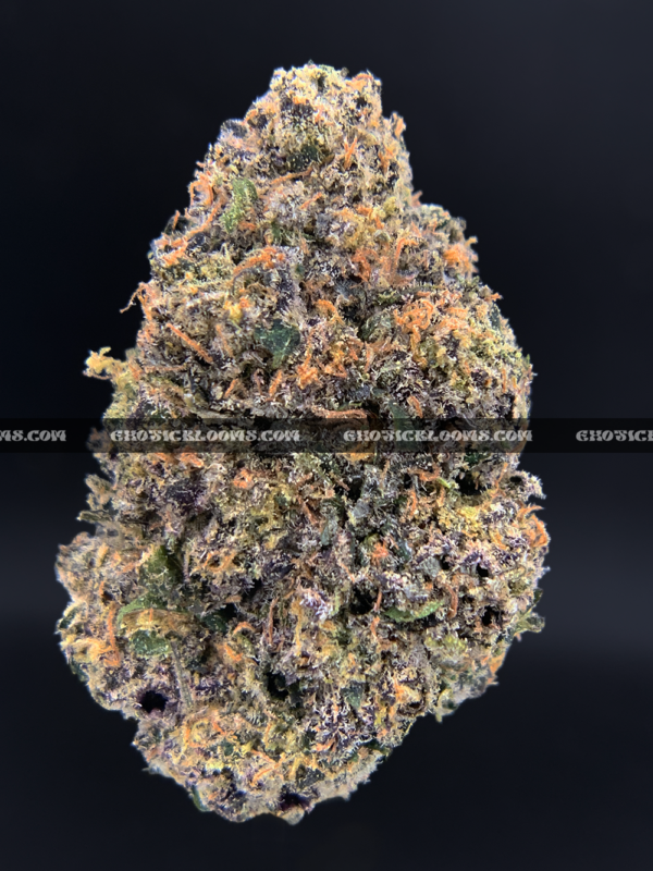 Durban Biscotti strain – tropical sweet sativa buds with crystal trichomes for DC and Virginia weed delivery