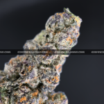 Fire Fumez cannabis strain – fruity gas hybrid for fast weed delivery in DC and Virginia.