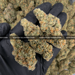 Futura Haze cannabis strain – rare sativa for focus and creativity in Virginia and DC.