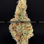 Futura Haze cannabis strain – rare sativa for focus and creativity in Virginia and DC.
