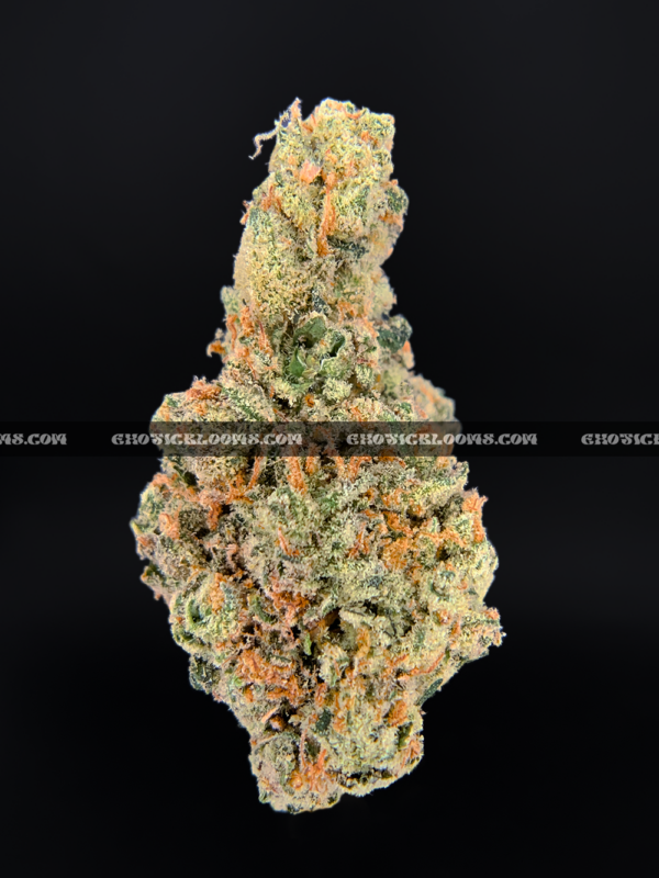 Futura Haze cannabis strain – rare sativa for focus and creativity in Virginia and DC.