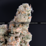 Futura Haze cannabis strain – rare sativa for focus and creativity in Virginia and DC.