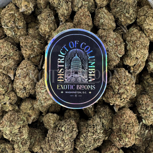 Rainbow Kush Washington DC Virginia