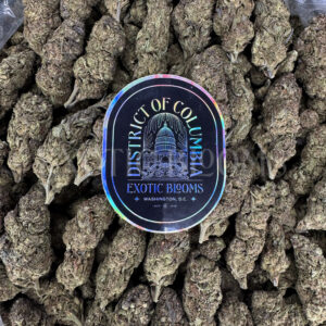 Purple Urkle Washington DC Virginia