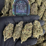 Super Silver Haze Washington DC Virginia