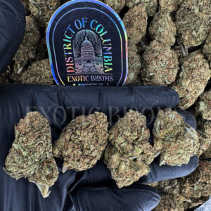 Rainbow Kush Washington DC Virginia