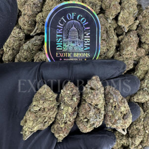 Purple Urkle Washington DC Virginia