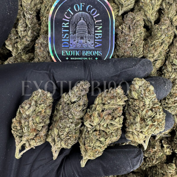 Super Silver Haze Washington DC Virginia