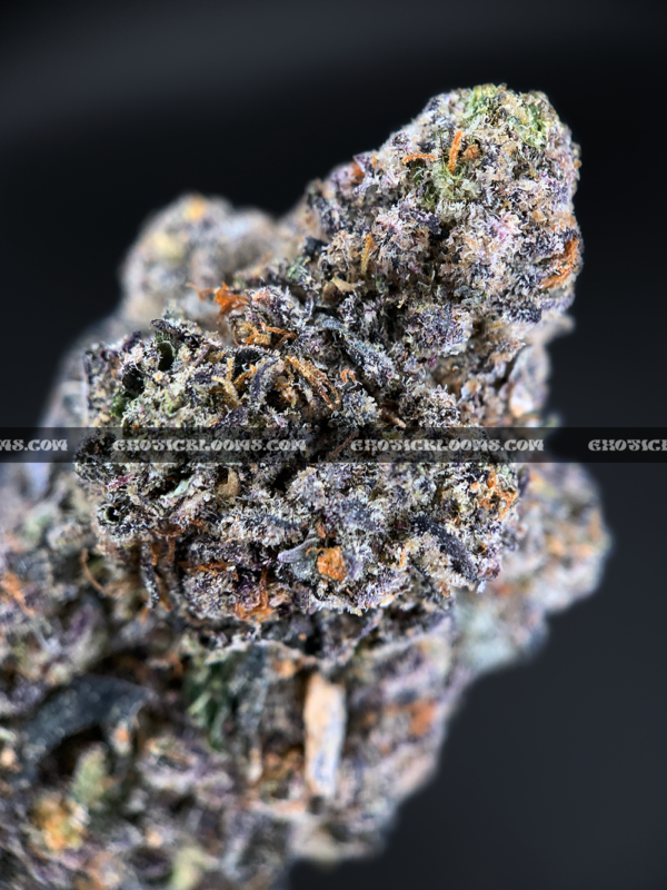 Italian Ice cannabis strain – dense purple and green buds with creamy berry aroma, available for weed delivery in DC, Virginia, and Richmond via Exotic Blooms