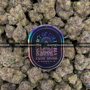 Laffy Taffy strain – dense sativa hybrid buds with sweet berry candy aroma for DC and Virginia cannabis delivery