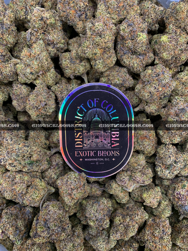 Laffy Taffy strain – dense sativa hybrid buds with sweet berry candy aroma for DC and Virginia cannabis delivery