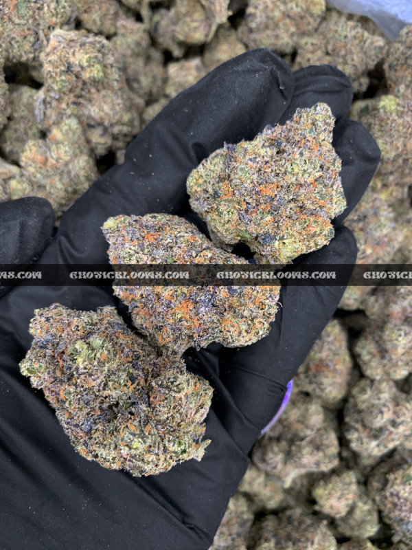 Laffy Taffy strain – dense sativa hybrid buds with sweet berry candy aroma for DC and Virginia cannabis delivery