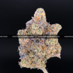 Laffy Taffy strain – dense sativa hybrid buds with sweet berry candy aroma for DC and Virginia cannabis delivery