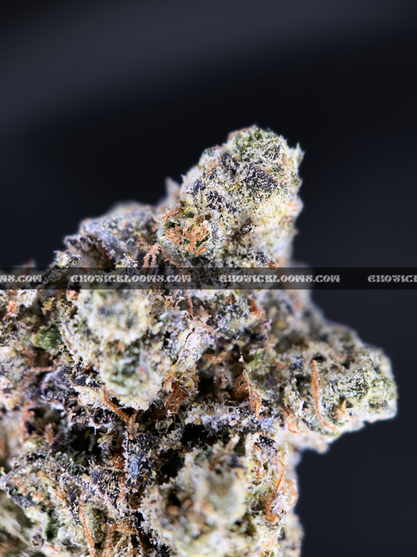 Laffy Taffy strain – dense sativa hybrid buds with sweet berry candy aroma for DC and Virginia cannabis delivery