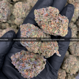 Lemon Cherry Sherbet cannabis strain for DC and Virginia weed delivery – premium frosty nugs with citrus and cherry flavor.