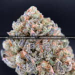 Lemon Cherry Sherbet cannabis strain for DC and Virginia weed delivery – premium frosty nugs with citrus and cherry flavor.