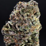 Super Silver Haze Washington DC Virginia