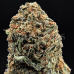 Rainbow Kush Washington DC Virginia