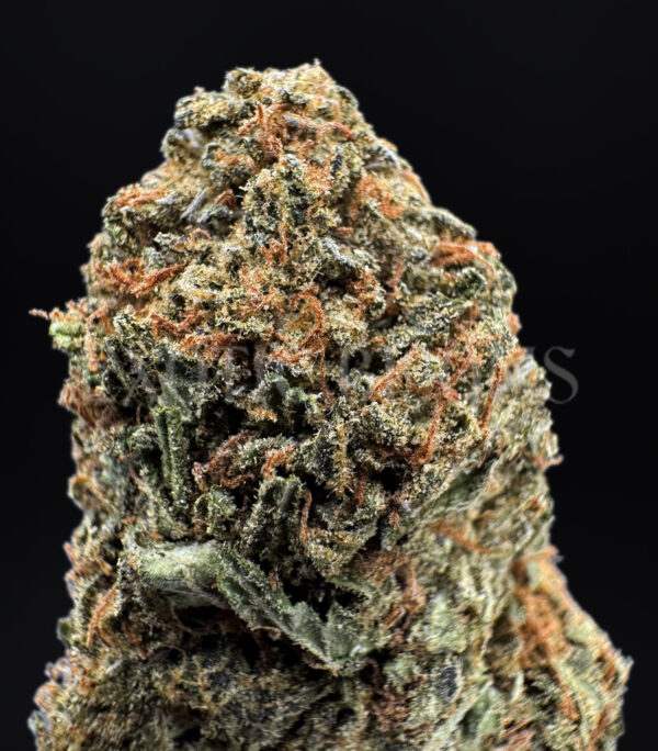 Rainbow Kush Washington DC Virginia